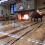 291840150 150x150 - Villa Paraíso